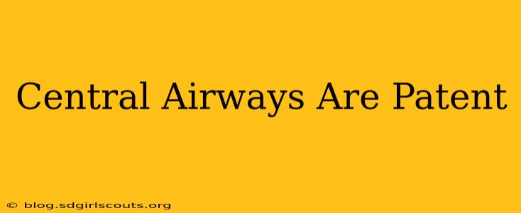 Central Airways Are Patent