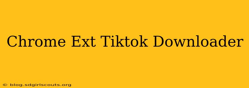 Chrome Ext Tiktok Downloader