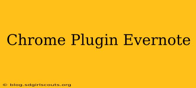 Chrome Plugin Evernote