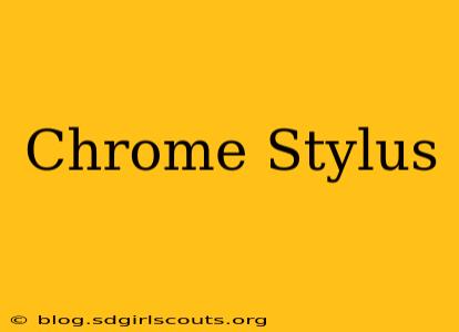 Chrome Stylus