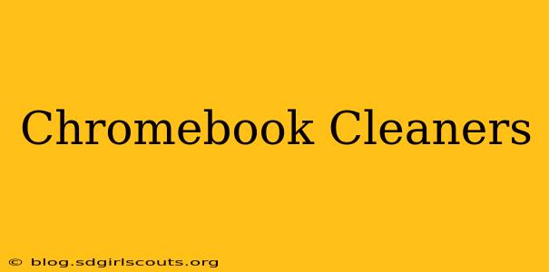 Chromebook Cleaners