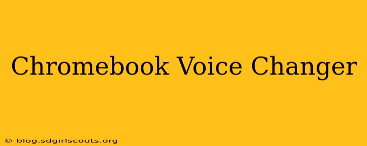 Chromebook Voice Changer
