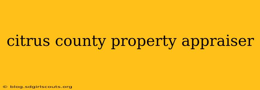 citrus county property appraiser