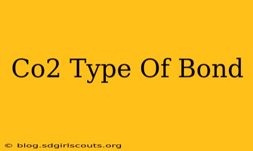 Co2 Type Of Bond