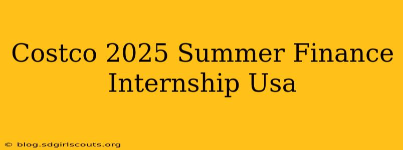 Costco 2025 Summer Finance Internship Usa