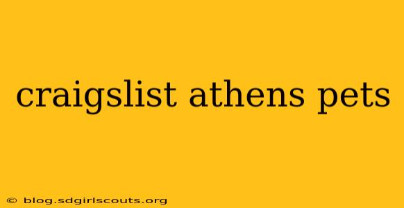 craigslist athens pets