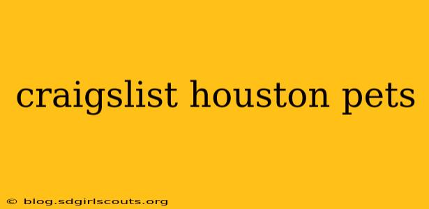 craigslist houston pets