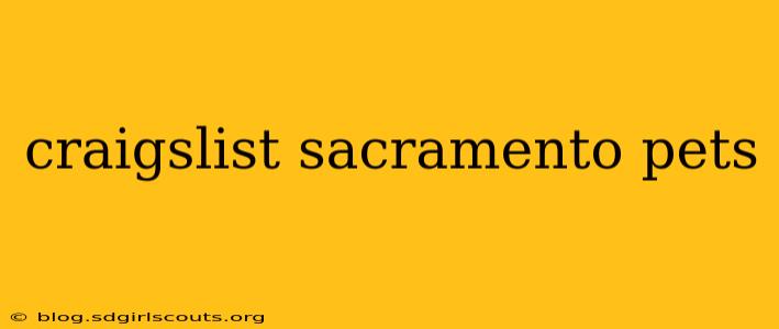 craigslist sacramento pets