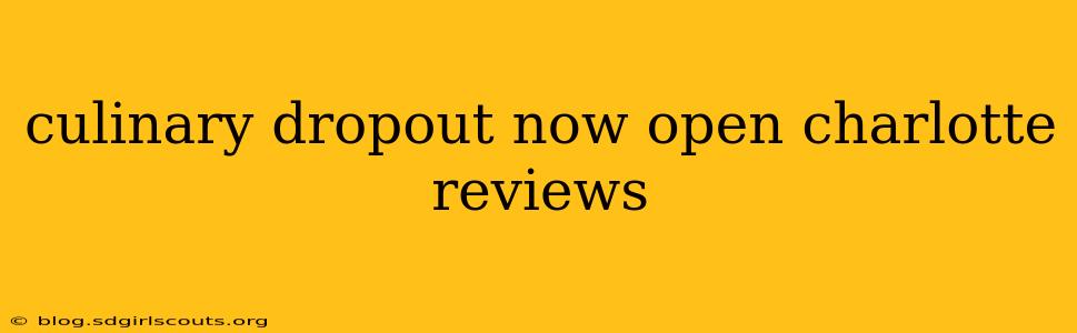 culinary dropout now open charlotte reviews