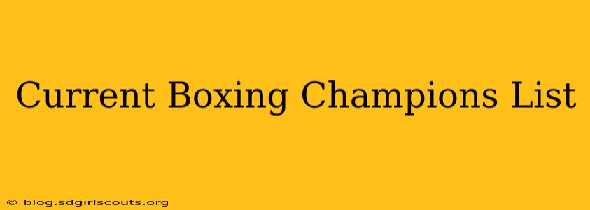 Current Boxing Champions List
