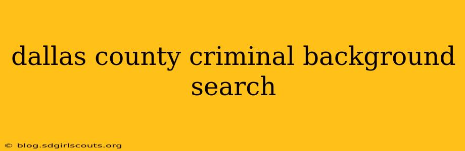 dallas county criminal background search
