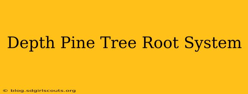 Depth Pine Tree Root System