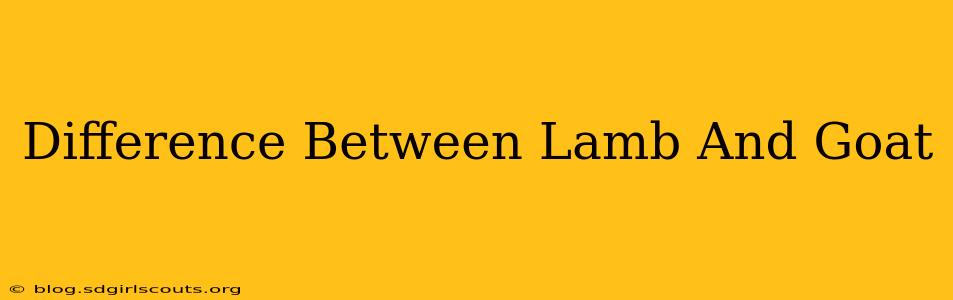 Difference Between Lamb And Goat