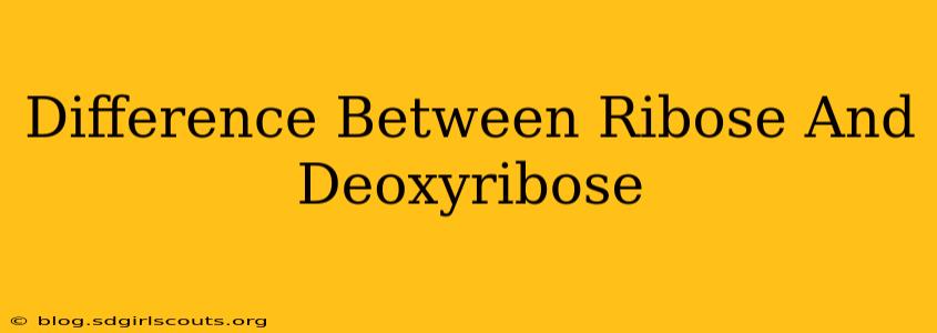 Difference Between Ribose And Deoxyribose
