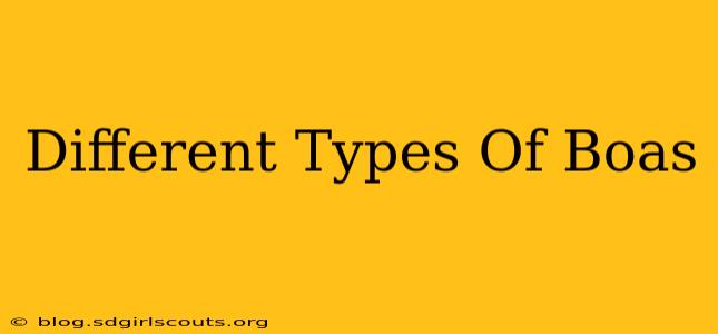 Different Types Of Boas