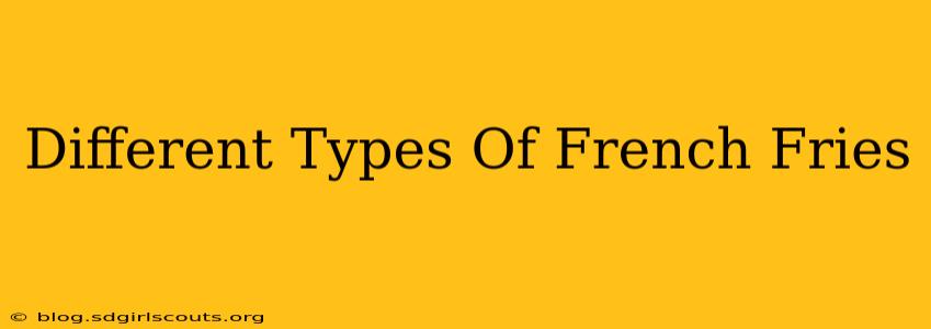Different Types Of French Fries