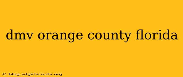 dmv orange county florida