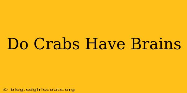 Do Crabs Have Brains