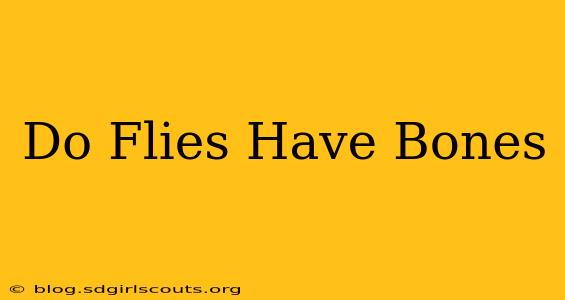 Do Flies Have Bones