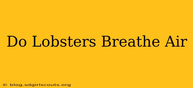 Do Lobsters Breathe Air
