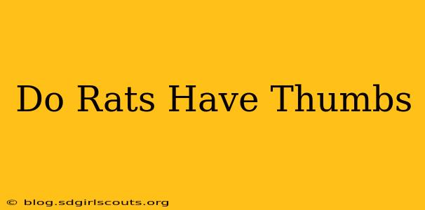 Do Rats Have Thumbs