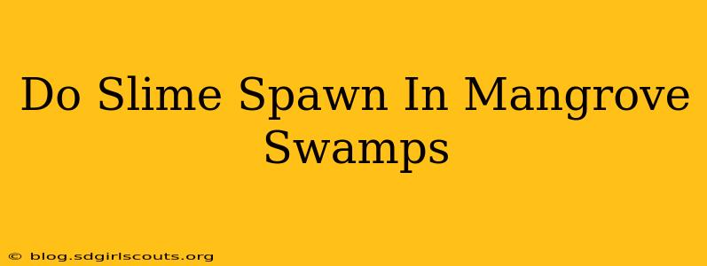 Do Slime Spawn In Mangrove Swamps