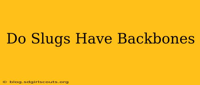 Do Slugs Have Backbones