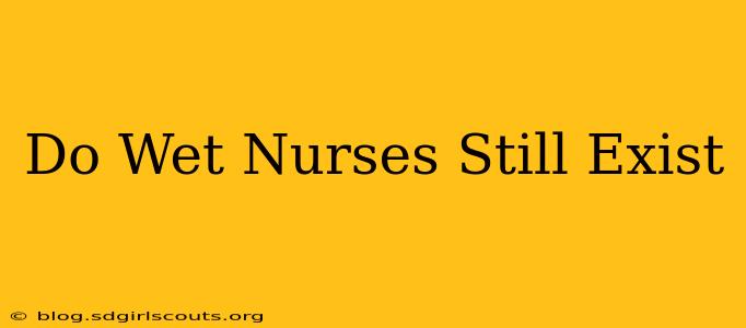 Do Wet Nurses Still Exist