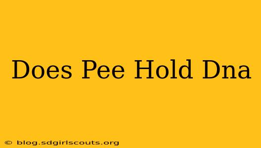 Does Pee Hold Dna