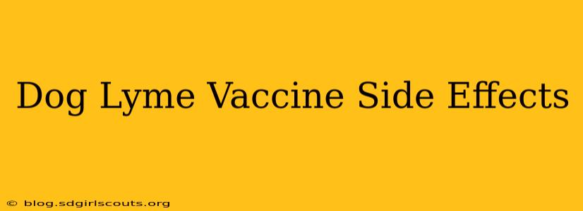 Dog Lyme Vaccine Side Effects