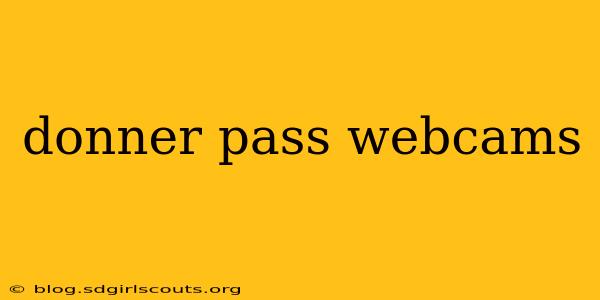 donner pass webcams