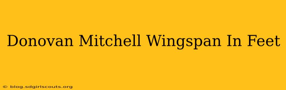 Donovan Mitchell Wingspan In Feet