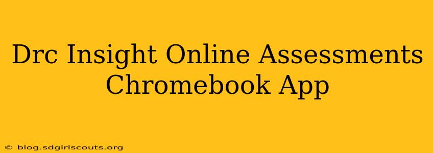Drc Insight Online Assessments Chromebook App