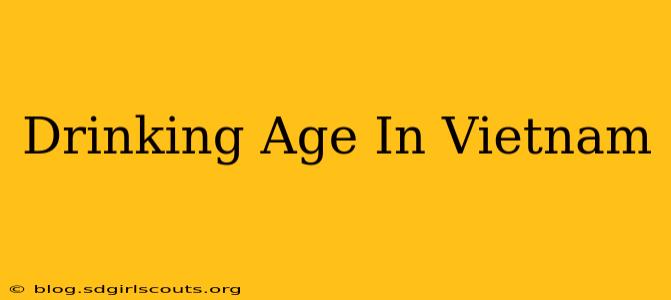 Drinking Age In Vietnam