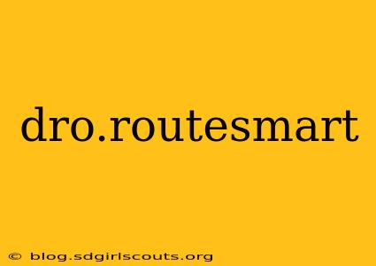 dro.routesmart