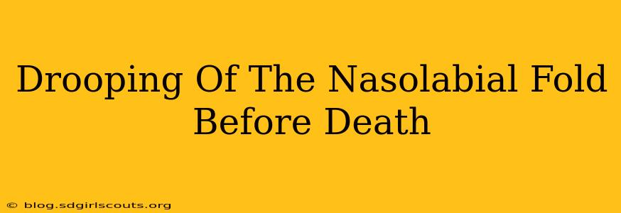 Drooping Of The Nasolabial Fold Before Death