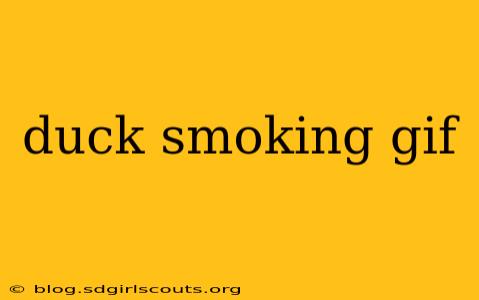 duck smoking gif