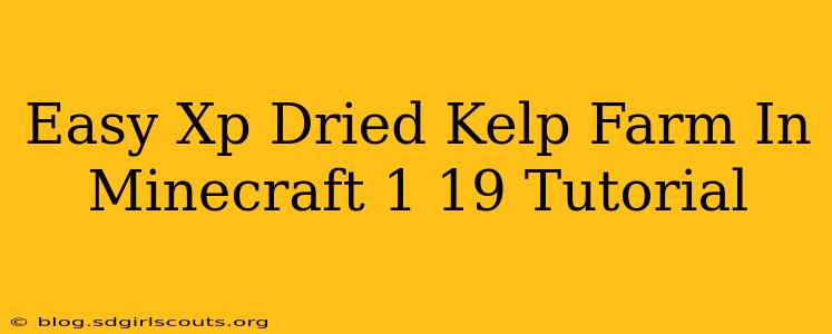 Easy Xp Dried Kelp Farm In Minecraft 1 19 Tutorial