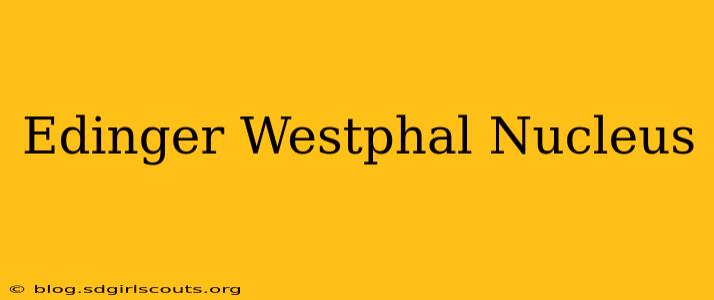 Edinger Westphal Nucleus