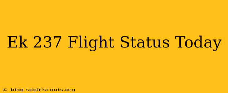 Ek 237 Flight Status Today