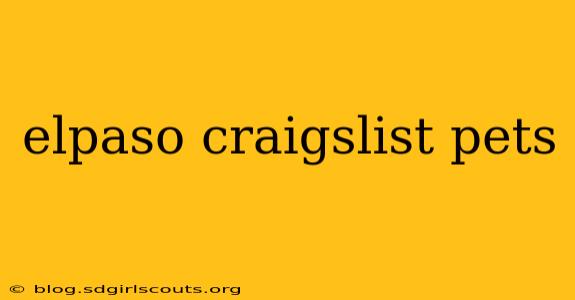elpaso craigslist pets