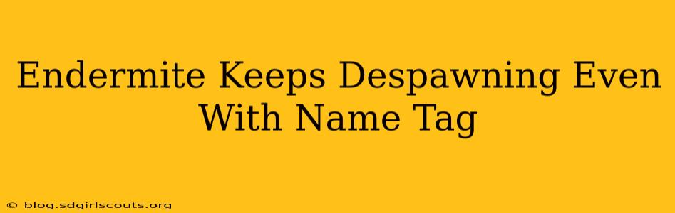 Endermite Keeps Despawning Even With Name Tag