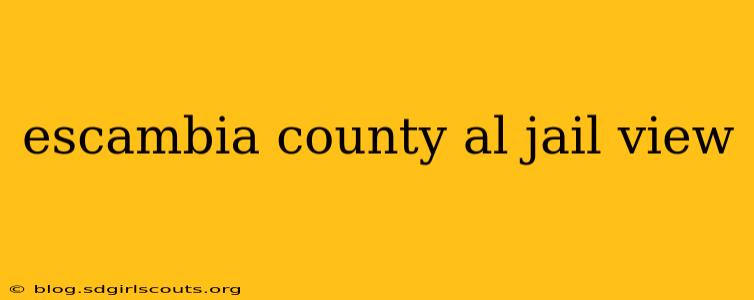 escambia county al jail view