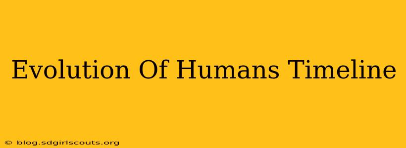 Evolution Of Humans Timeline