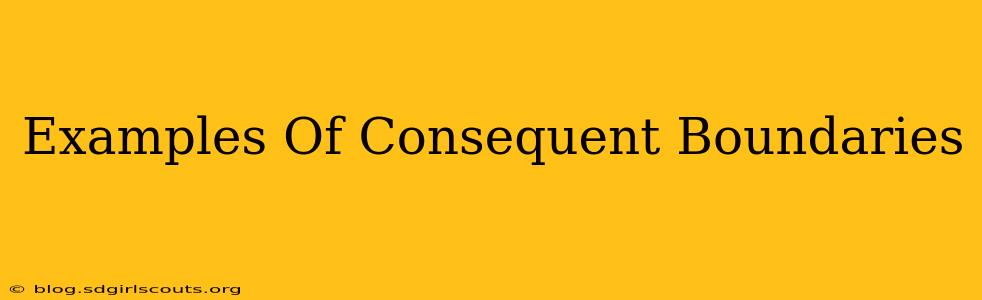 Examples Of Consequent Boundaries