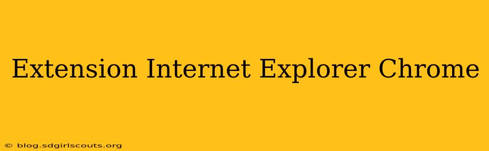 Extension Internet Explorer Chrome