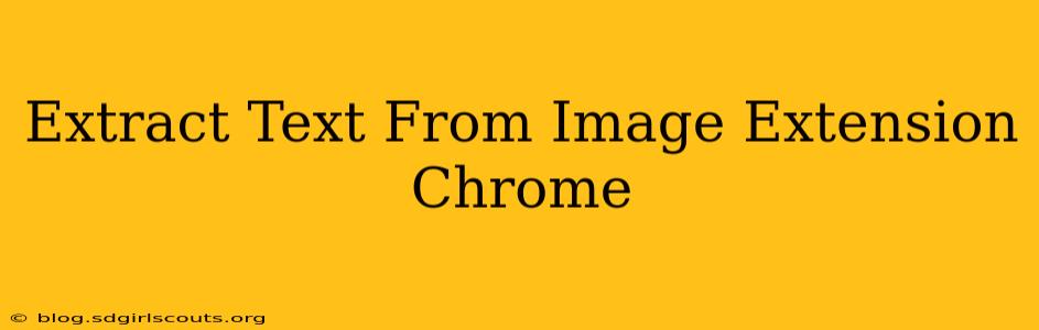 Extract Text From Image Extension Chrome