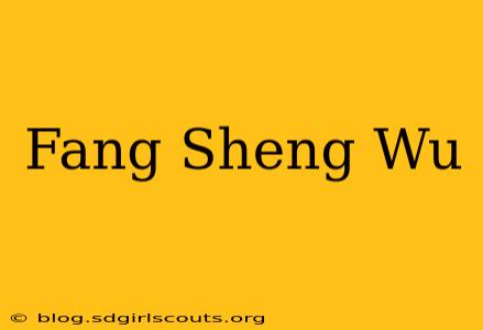 Fang Sheng Wu