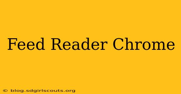 Feed Reader Chrome