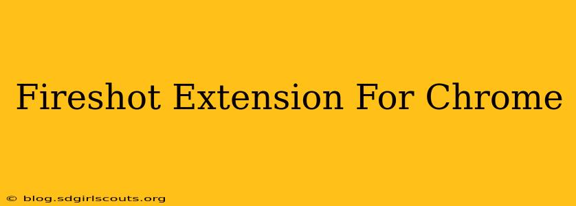 Fireshot Extension For Chrome